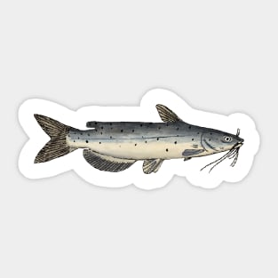 Channel Catfish (Juvenile) Sticker